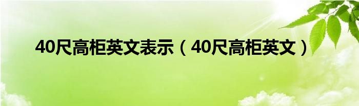 40尺高柜英文(40尺高柜英文表示)