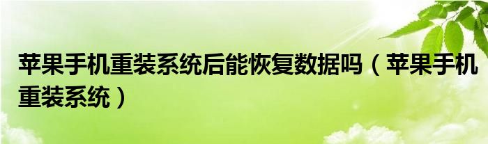 苹果手机重装系统(苹果手机重装系统后能恢复数据吗)