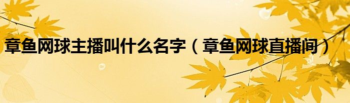 章鱼网球直播间(章鱼网球主播叫什么名字)