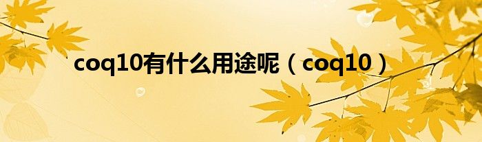 coq10(coq10有什么用途呢)