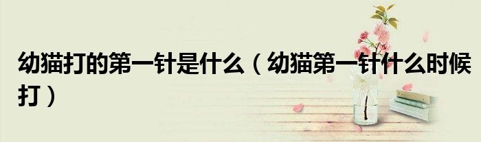 幼猫第一针什么时候打(幼猫打的第一针是什么)