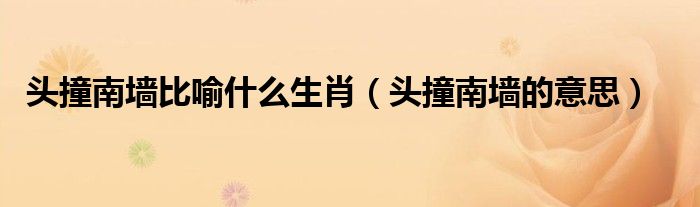 头撞南墙的意思(头撞南墙比喻什么生肖)
