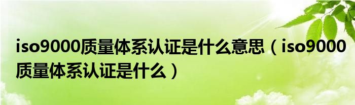 iso9000质量体系认证是什么(iso9000质量体系认证是什么意思)