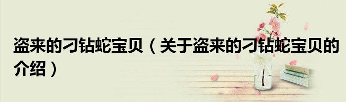 关于盗来的刁钻蛇宝贝的介绍(盗来的刁钻蛇宝贝)
