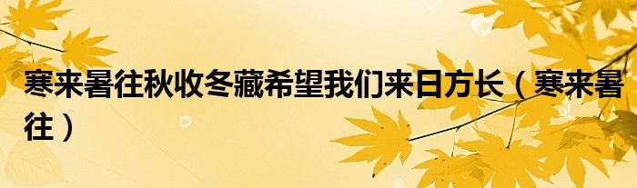 寒来暑往(寒来暑往秋收冬藏希望我们来日方长)