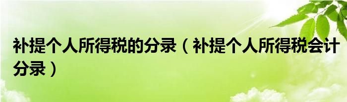 补提个人所得税会计分录(补提个人所得税的分录)