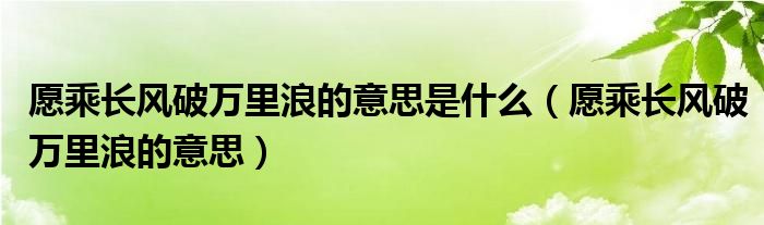 愿乘长风破万里浪的意思(愿乘长风破万里浪的意思是什么)