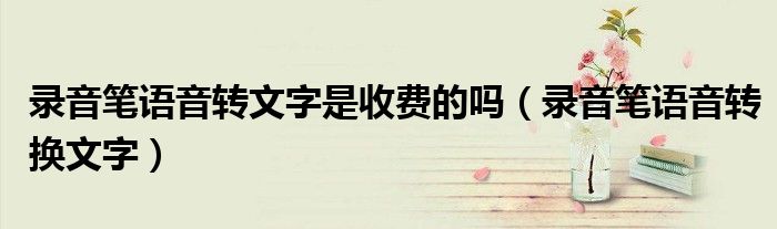 录音笔语音转换文字(录音笔语音转文字是收费的吗)