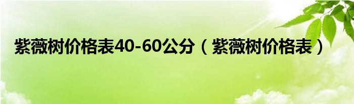 紫薇树价格表(紫薇树价格表40-60公分)