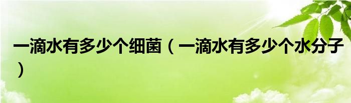 一滴水有多少个水分子(一滴水有多少个细菌)