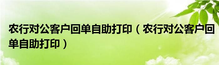 农行对公客户回单自助打印(农行对公客户回单自助打印)