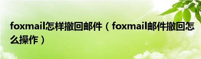 foxmail邮件撤回怎么操作(foxmail怎样撤回邮件)