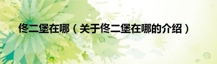 关于佟二堡在哪的介绍(佟二堡在哪)