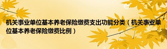 机关事业单位基本养老保险缴费比例(机关事业单位基本养老保险缴费支出功能分类)