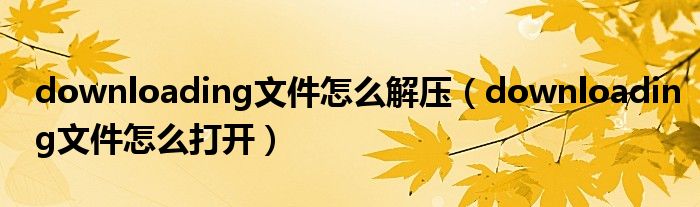 downloading文件怎么打开(downloading文件怎么解压)