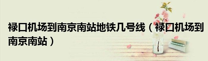 禄口机场到南京南站(禄口机场到南京南站地铁几号线)