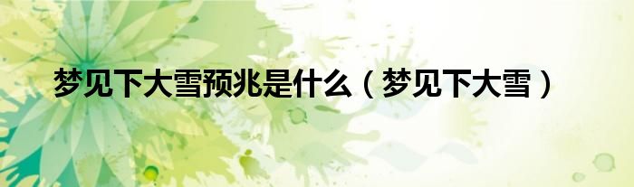 梦见下大雪(梦见下大雪预兆是什么)