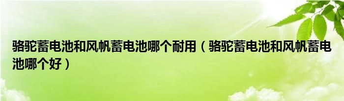 骆驼蓄电池和风帆蓄电池哪个好(骆驼蓄电池和风帆蓄电池哪个耐用)