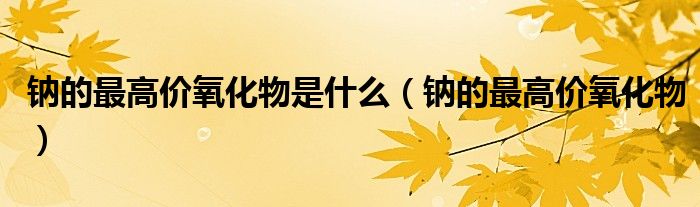 钠的最高价氧化物(钠的最高价氧化物是什么)