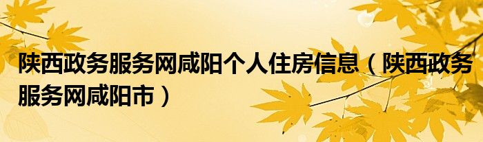陕西政务服务网咸阳市(陕西政务服务网咸阳个人住房信息)