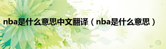 nba是什么意思(nba是什么意思中文翻译)