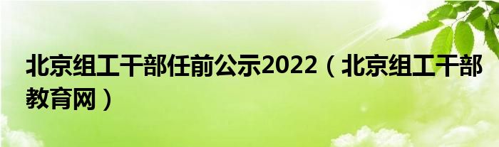 北京组工干部教育网(北京组工干部任前公示2022)