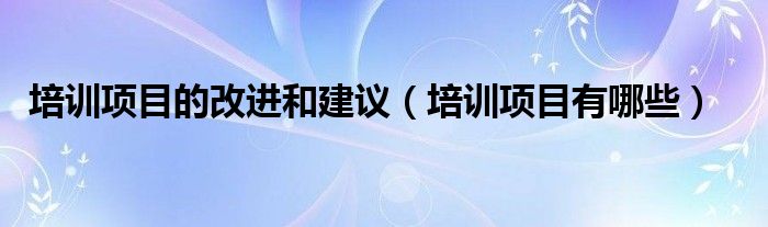 培训项目有哪些(培训项目的改进和建议)
