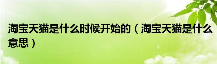 淘宝天猫是什么意思(淘宝天猫是什么时候开始的)