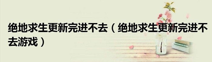 绝地求生更新完进不去游戏(绝地求生更新完进不去)