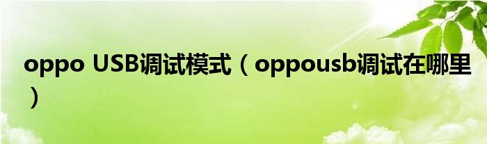 oppousb调试在哪里(oppo USB调试模式)