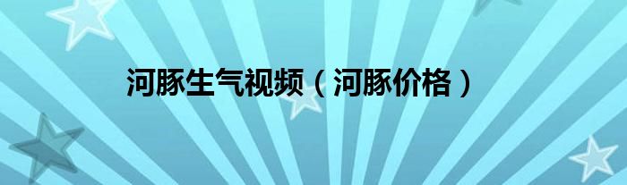 河豚价格(河豚生气视频)