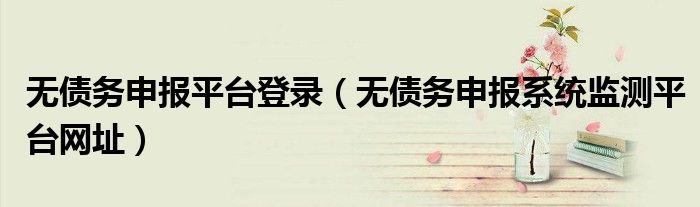 无债务申报系统监测平台网址(无债务申报平台登录)