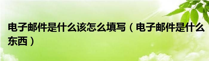 电子邮件是什么东西(电子邮件是什么该怎么填写)