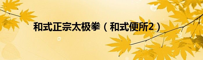 和式便所2(和式正宗太极拳)