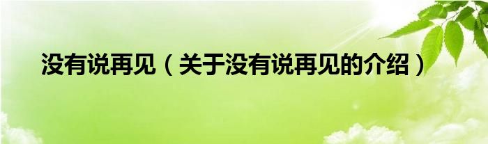 关于没有说再见的介绍(没有说再见)