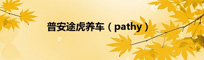 pathy(普安途虎养车)
