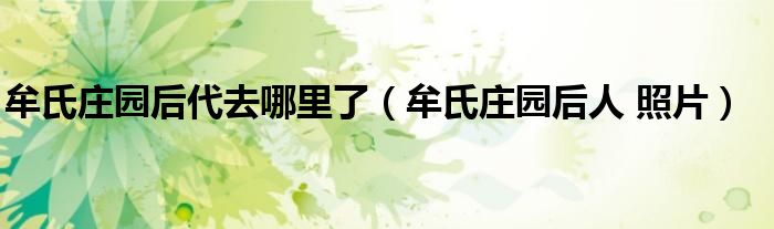 牟氏庄园后人 照片(牟氏庄园后代去哪里了)