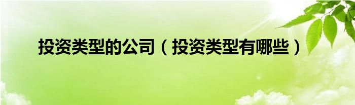 投资类型有哪些(投资类型的公司)