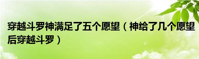 神给了几个愿望后穿越斗罗(穿越斗罗神满足了五个愿望)