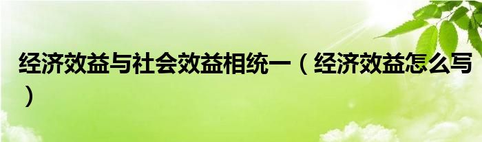 经济效益怎么写(经济效益与社会效益相统一)
