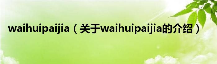关于waihuipaijia的介绍(waihuipaijia)