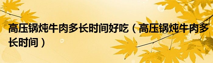 高压锅炖牛肉多长时间(高压锅炖牛肉多长时间好吃)