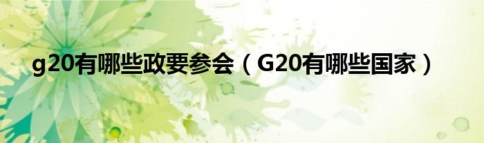 G20有哪些国家(g20有哪些政要参会)