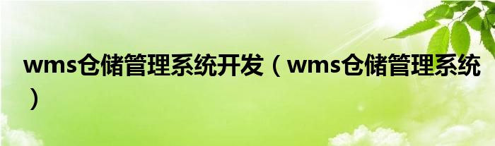 wms仓储管理系统(wms仓储管理系统开发)