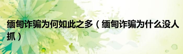 缅甸诈骗为什么没人抓(缅甸诈骗为何如此之多)