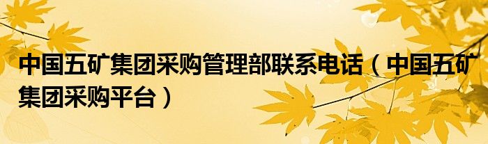 中国五矿集团采购平台(中国五矿集团采购管理部联系电话)
