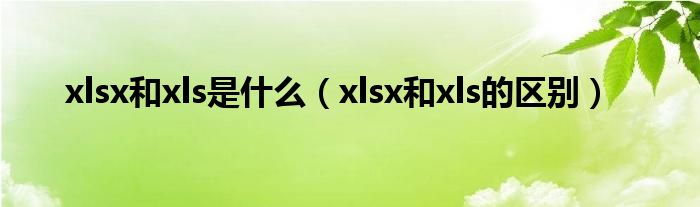 xlsx和xls的区别(xlsx和xls是什么)