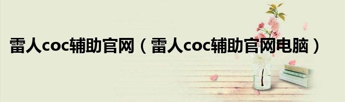 雷人coc辅助官网电脑(雷人coc辅助官网)