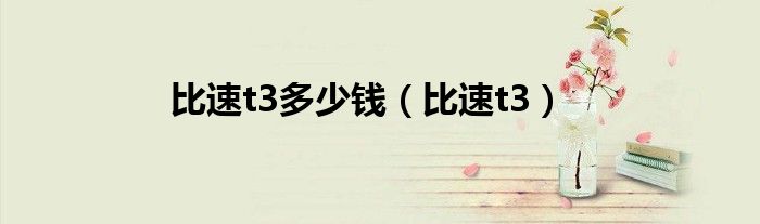 比速t3(比速t3多少钱)