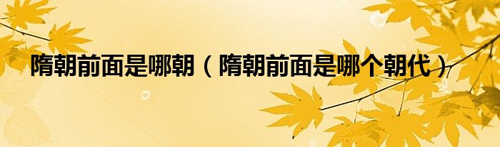 隋朝前面是哪个朝代(隋朝前面是哪朝)
